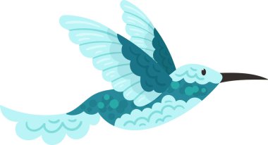 Sinekkuşu Tropikal Kuş Vektörü İllüstrasyonu