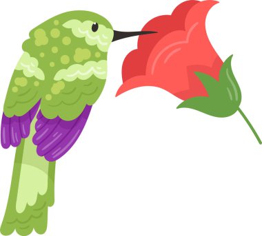 Çiçek Vektörü İllüstrasyonlu Sinekkuşu