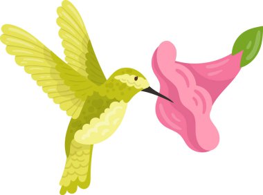 Çiçek Vektörü İllüstrasyonlu Sinekkuşu