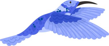 Sinekkuşu Tropikal Kuş Vektörü İllüstrasyonu