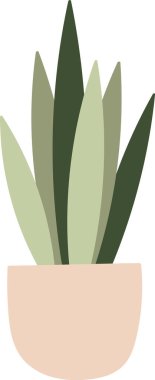 Bitki Vektörü İllüstrasyonlu Esrar