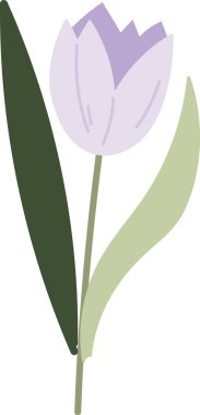 Kök Vektör Resimlerinde Lale Çiçeği