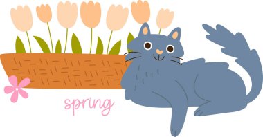 Cat And Flowers Vector Illustration
