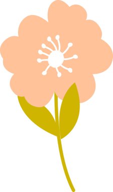 Bahar Çiçeği Bitki Vektörü İllüstrasyonu