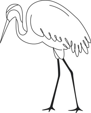 Leylek Kuşu Ayakta Duran Taslak Vektör İllüstrasyonu