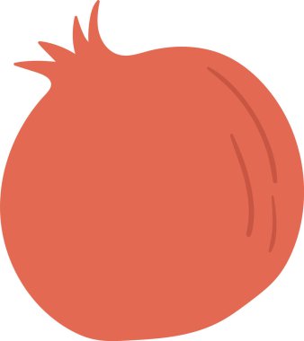 Nar Meyve Ürünleri Vektörü İllüstrasyonu