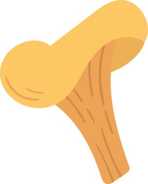 İstiridye Mantarı Bitki Vektörü İllüstrasyonu