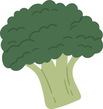 Brokoli Sebze Ürün Vektörü İllüstrasyonu