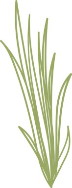 Yeşil Soğan Ürün Vektör İllüstrasyonu