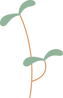 Pancar filizi Mikroyeşil Vektör İllüstrasyonu