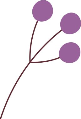 Böğürtlen Vektörü İllüstrasyonlu Şube