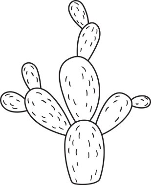 Kaktüs Bitki Şekillendirmesi