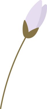 Çiçek Bud Bitki Vektörü İllüstrasyonu