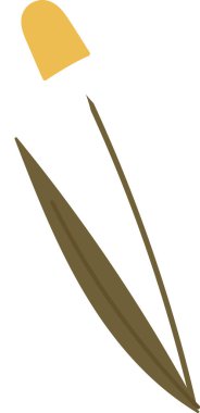 Papatya Çiçeği Bitki Vektörü İllüstrasyonu