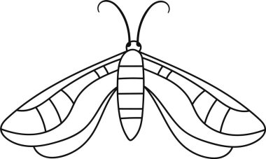 Kelebek Böceği Sıralı Vektör Çizimi