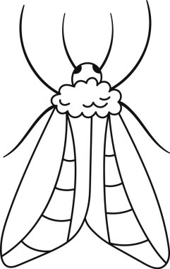 Uçan Böcek Sıralı Vektör Çizimi