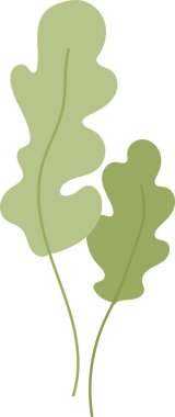 Turp Sebze Yaprak Vektörü İllüstrasyonu