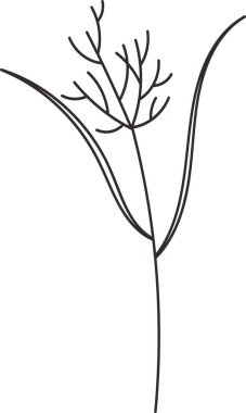 Dill Mikro Yeşiller Taslak Vektör İllüstrasyonu