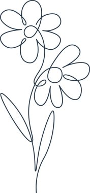 Papatya Çiçeği Özet Vektör ResmiComment