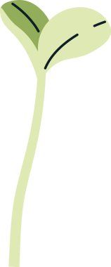 Süt devedikeni filizi Vektör İllüstrasyonu