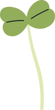 Brokoli Bitkisi Filiz Vektörü İllüstrasyonu