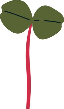 Basil Bitki Filizi Vektör İllüstrasyonu