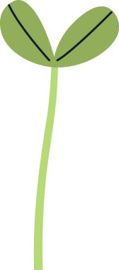 Ayçiçeği filizlenme vektörü illüstrasyonu