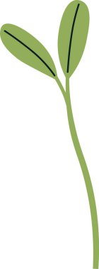 Pancar Çiçeği Vektör İllüstrasyonu