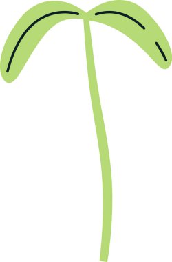 Pancar Çiçeği Vektör İllüstrasyonu