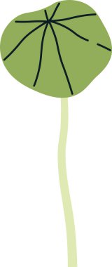 Nasturtium Mikro Yeşil Filiz Vektörü İllüstrasyonu