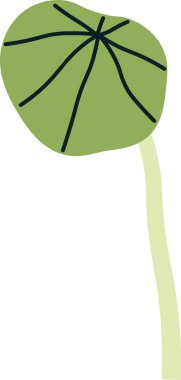 Nasturtium Mikro Yeşil Filiz Vektörü İllüstrasyonu