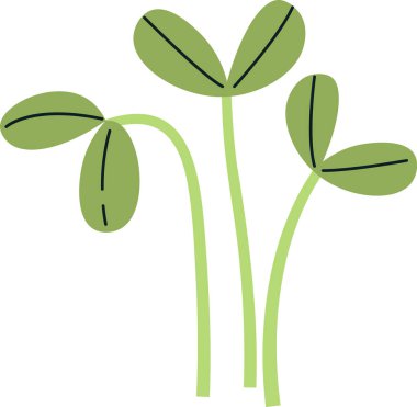 Ayçiçeği filizi Mikro Yeşil Vektör İllüstrasyonu