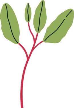 Magenta Spreen Sprout Vektör İllüstrasyonu