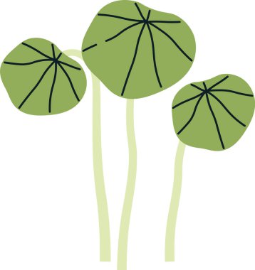 Nasturtium Filizleri Mikroyeşil Vektör İllüstrasyonu
