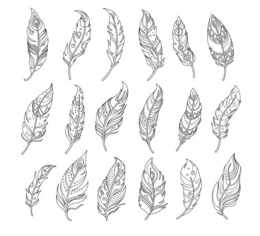 Tüyler, etnik dekoratif ana desen, kabile tavus kuşu tüyleri, beyaz arka planda izole edilmiş stilize kuş örtüleri. Klasik retro basit yerel süslemeli küme vektör illüstrasyonu