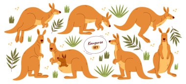 Cute kangaroo cartoon characters in different poses jumping, eating, playing, holding baby in bag set isolated on white. Happy Australian animal daily activity and relax time vector illustration clipart