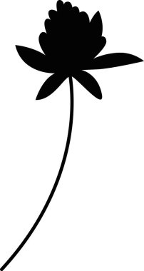 Kök Siluet Vektör Resimlerinde Çiçek