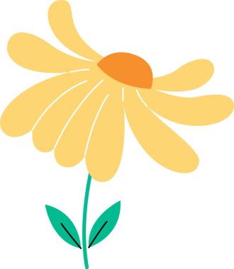 Chamomile Flower Icon Vector Illustration