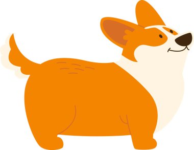 Corgi Dog Ayakta Duran Vektör İllüstrasyonu