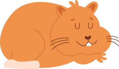 Uyuyan Hamster Hayvan Vektörü İllüstrasyonu