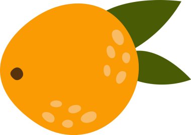 portakal narenciye meyve vektör çizim