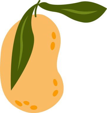 Mango Tropikal Meyve Vektörü İllüstrasyonu