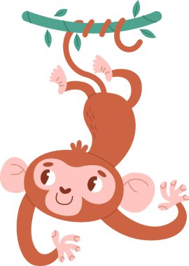 Liana Vektör İllüstrasyonunda Asılı Maymun