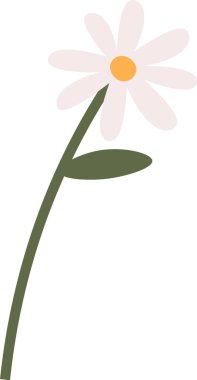 Kök Vektör Resimlerinde Papatya Çiçeği