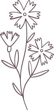 Çiçek Dalları Doodle Vektör İllüstrasyonu