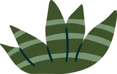 Çöl Kaktüsü Bitki Vektörü İllüstrasyonu