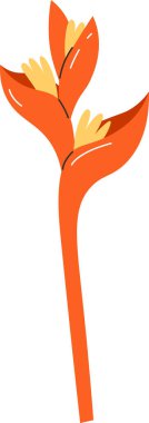 Tropikal Egzotik Çiçek Vektörü İllüstrasyonu