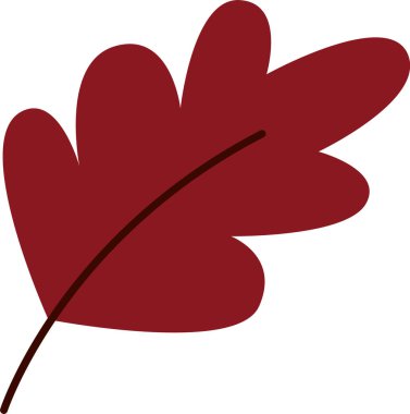 Autumn Oak Yaprak Vektörü İllüstrasyonu