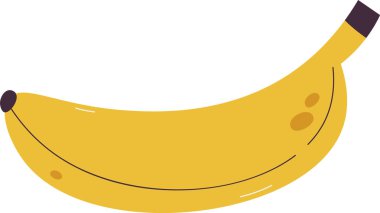 Muz Tropikal Meyve Vektörü İllüstrasyonu