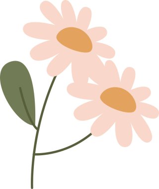 Papatya Çiçekleri El Çizimi Vektör İllüstrasyonu